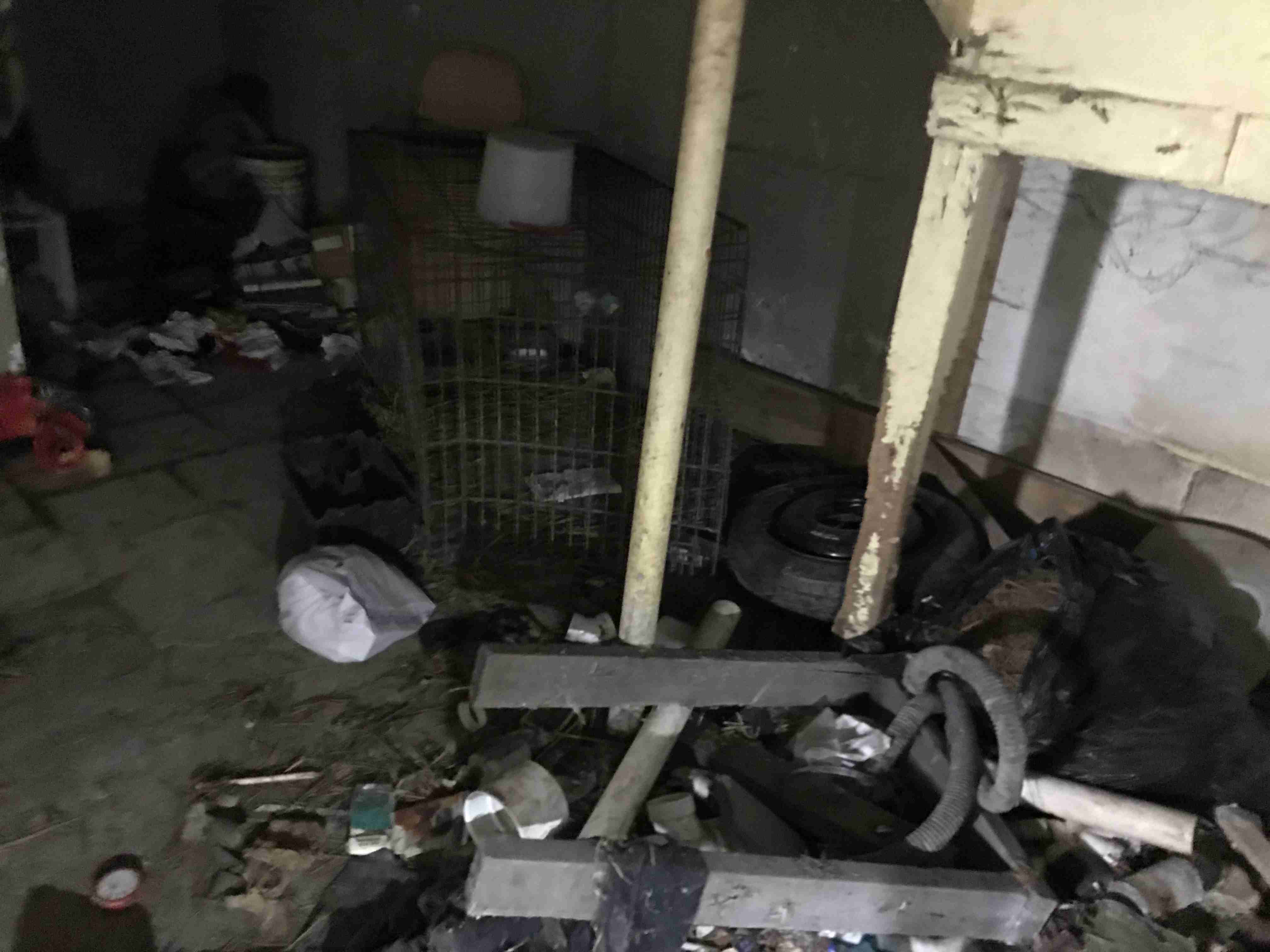 Photo Oct 13, 12 37 16 PM.jpg